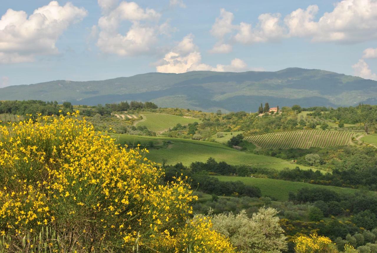 Lavanda E Rosmarino Bed & Breakfast