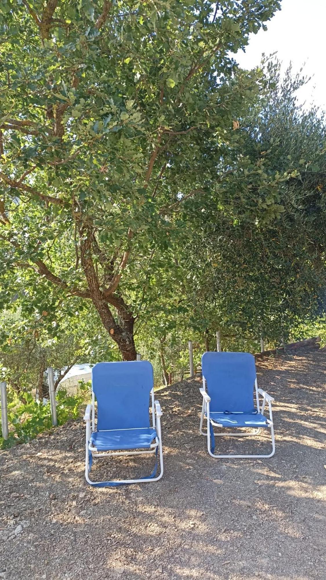 Bed & Breakfast Lavanda E Rosmarino *